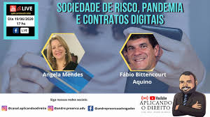 Sociedade de risco, pandemia e contratos digitais